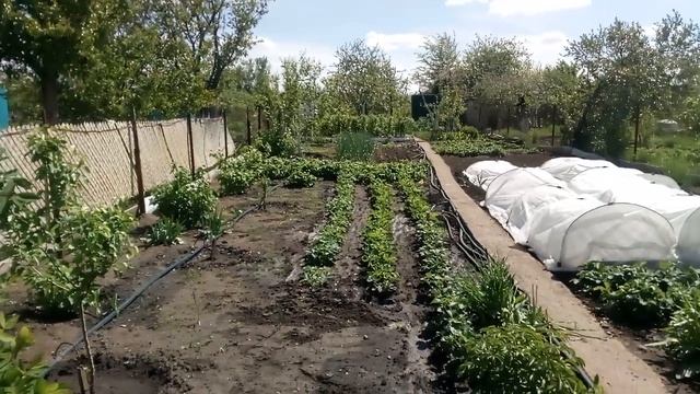 Балаково Химик-2 4-я улица