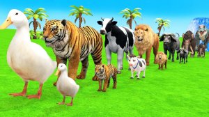 Мультики про животных. Маленькие и большие животные на испытаниях. Смотреть Мультики для детей.