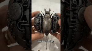 Жучки паучки 🐞🕷🦂