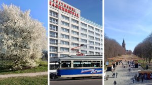 Пасхальный фестиваль. Гуляем в Центральном парке.