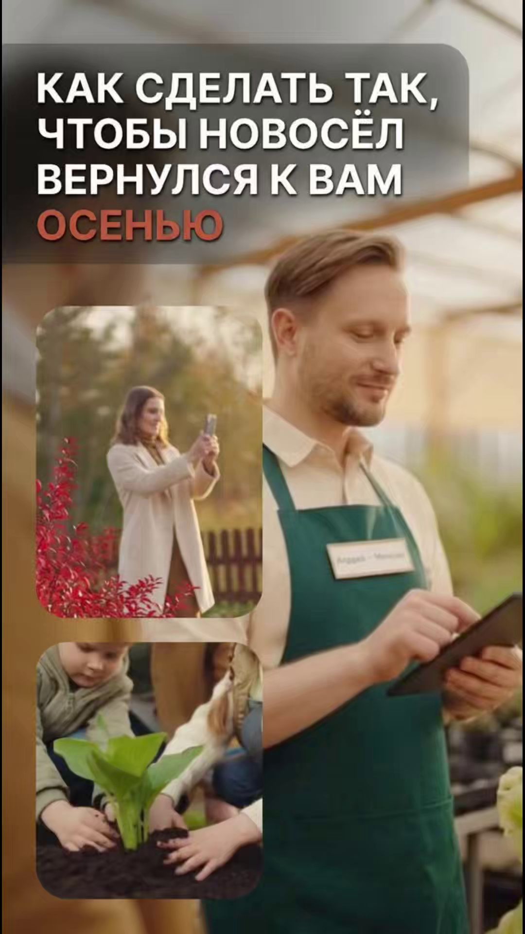 Как сделать так чтобы новосёл вернулся к вам осенью