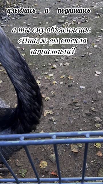 искусство продавать