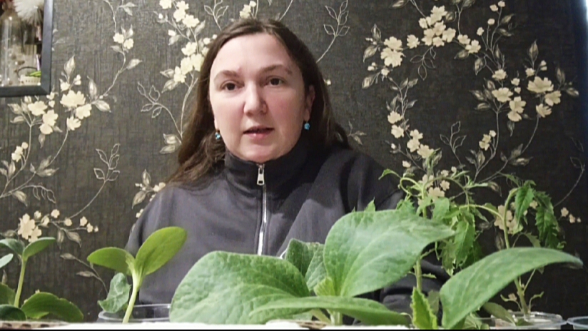 29.04.26 Обзор новой рассады(огурцы,кабачки,арбузы)+ болталочка