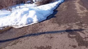 Спилили сливы//от соседей ко мне в огород течёт с канализации.