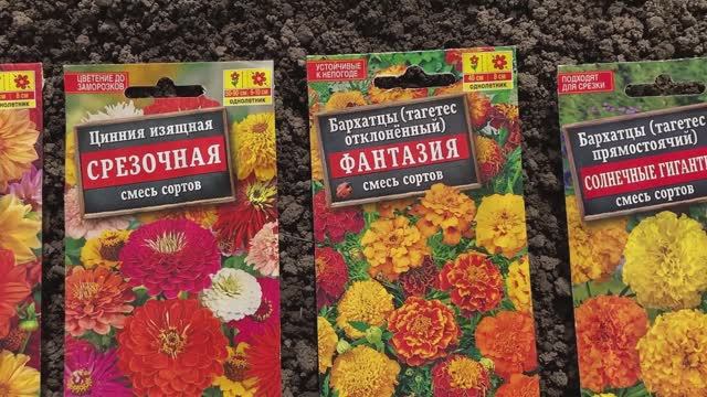 Работаю на огороде, сажаю цветы на рассаду, навожу порядок на даче.