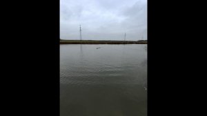 Новинка 2026. RedBot A5 на воде.