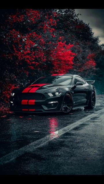 ловите обои