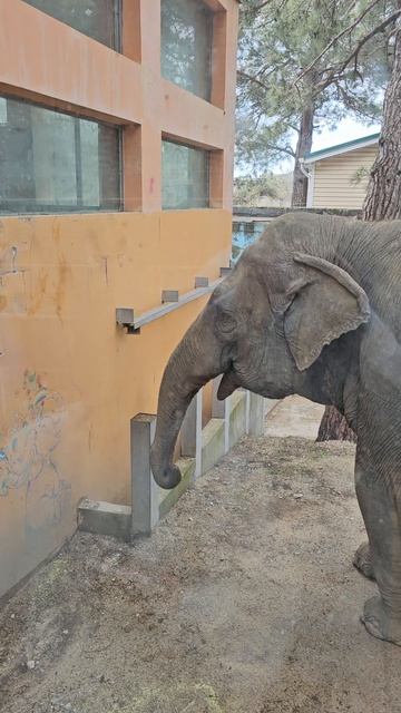 Сафари -парк Геленджик