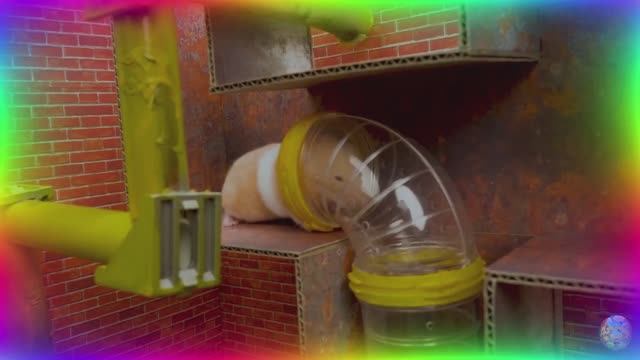 Приключения хомячка в игровом мире! 21