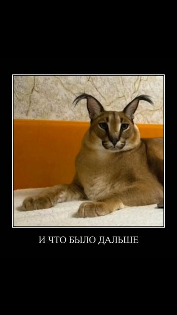 подаю признаки жизни