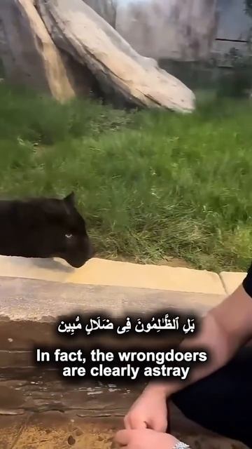 Слушать 9