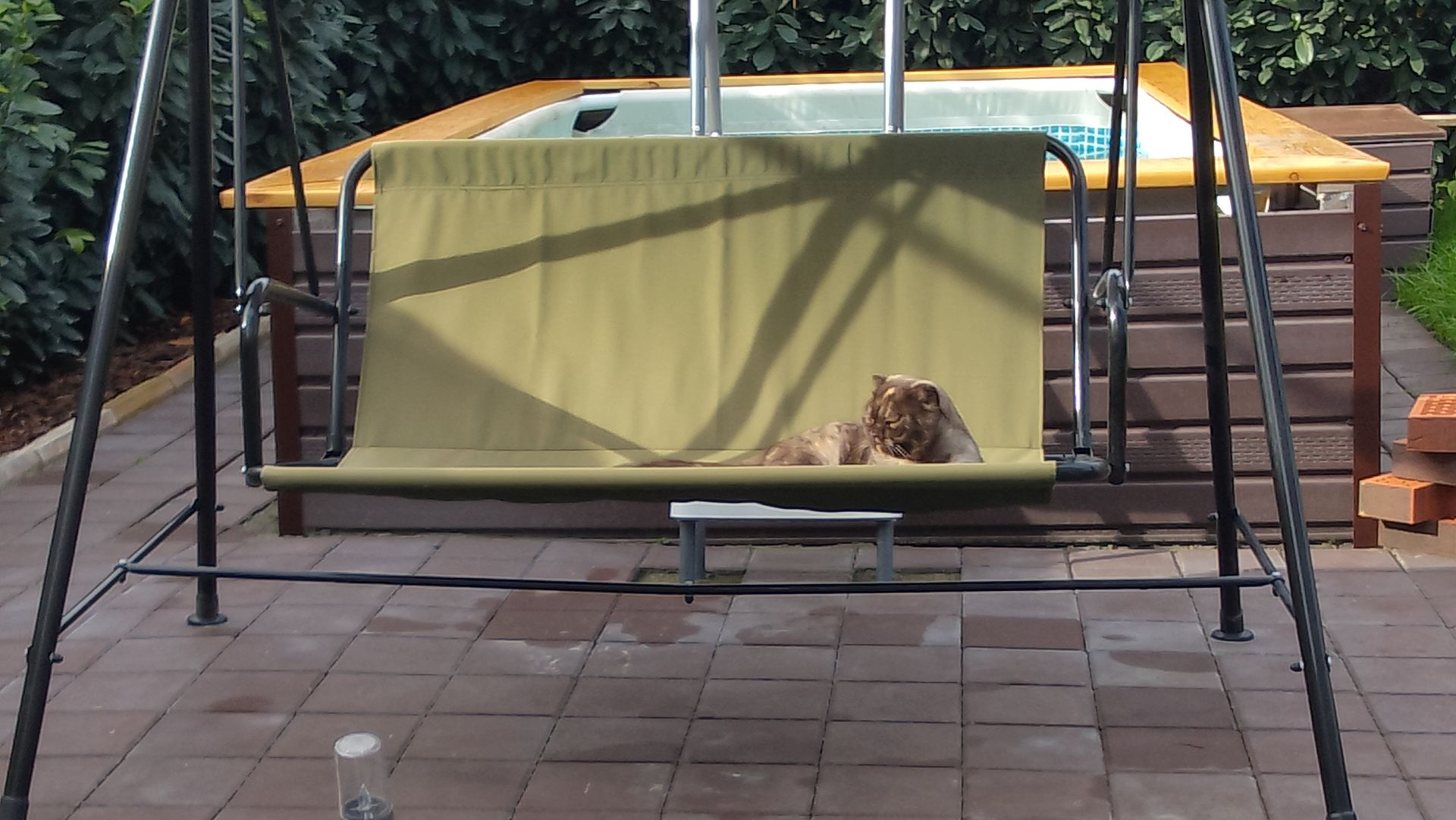 Мяу 🐈 Покачай меня пожалуйста ♥️