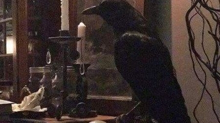 Расклад на сон грядущий  ЧТО У МУЖЧИНЫ В ДОМЕ НА СЕРДЦЕ В ЛЮБВИ ПРЯМО СЕЙЧАС 