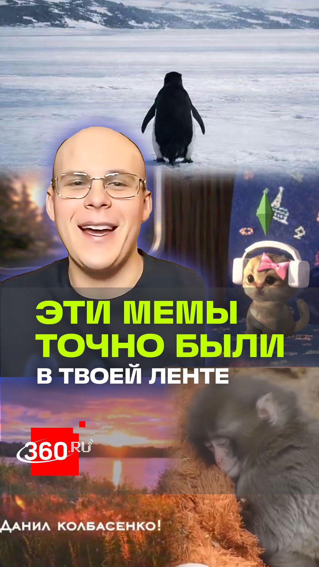 Панч, шопинг модный лук, пингвин-нигилист. Топ мемов в России