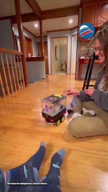 Крысы-автомобилисты: дрессировщики научили грызунов водить мини-машинки