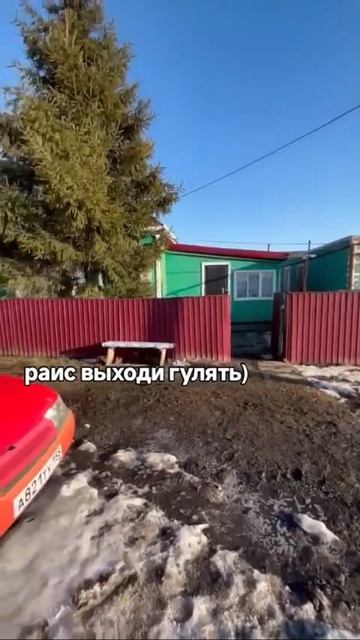 Ахмед венгалби