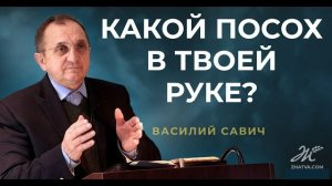 Какой посох в твоей руке? - Василий Савич. Христианские проповеди