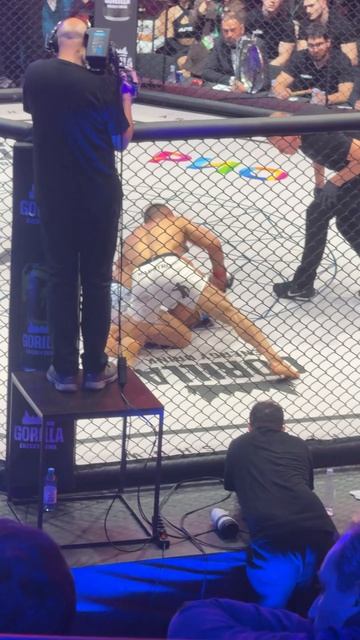 пришли на бои