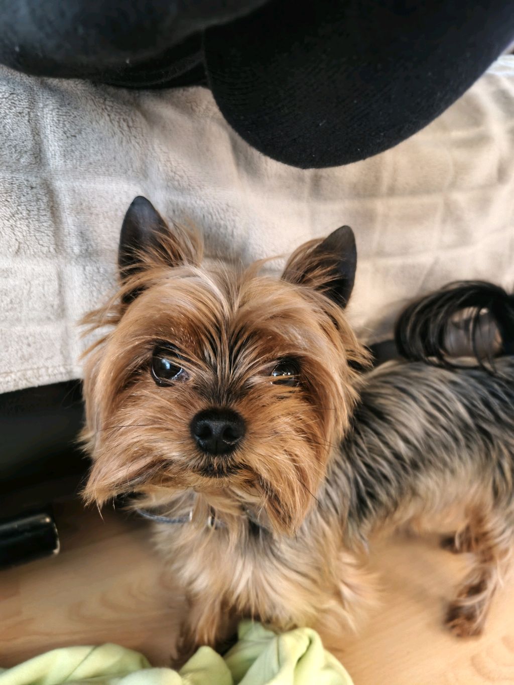 учу текст к песне 