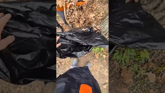 стали дворник ами на 24 часа