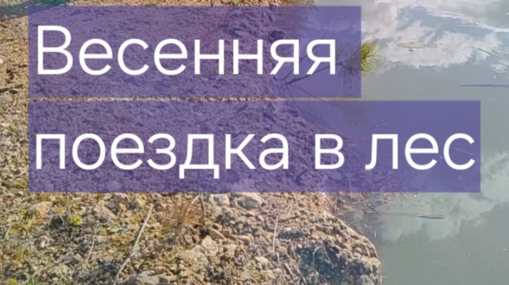 Весенняя поездка на квадроцикле в лес