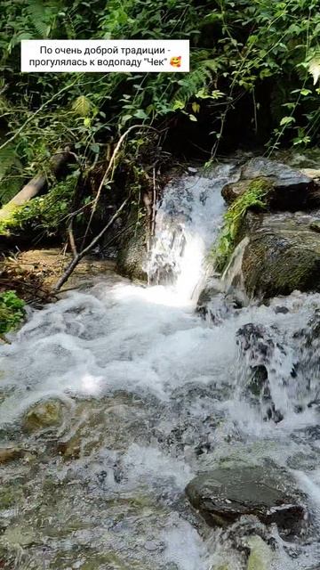 Водопад Чек красная поляна сочи