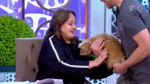 Потом расскажешь и пожалуешься: Гузеева эмоционально отреагировала на появление Жужи