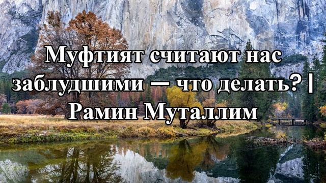 Муфтият считают нас заблудшими что делать_ Рамин Муталлим