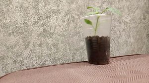 Настоящих мужчин видели. Страничка надежды