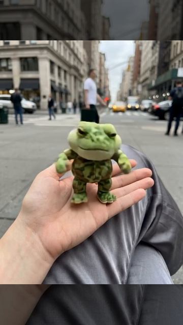 Царевна Лягушка! Карманная Ярость