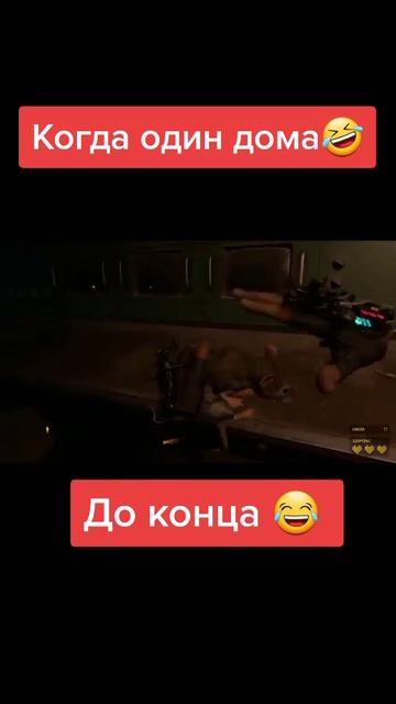 Мармок играет с крысой