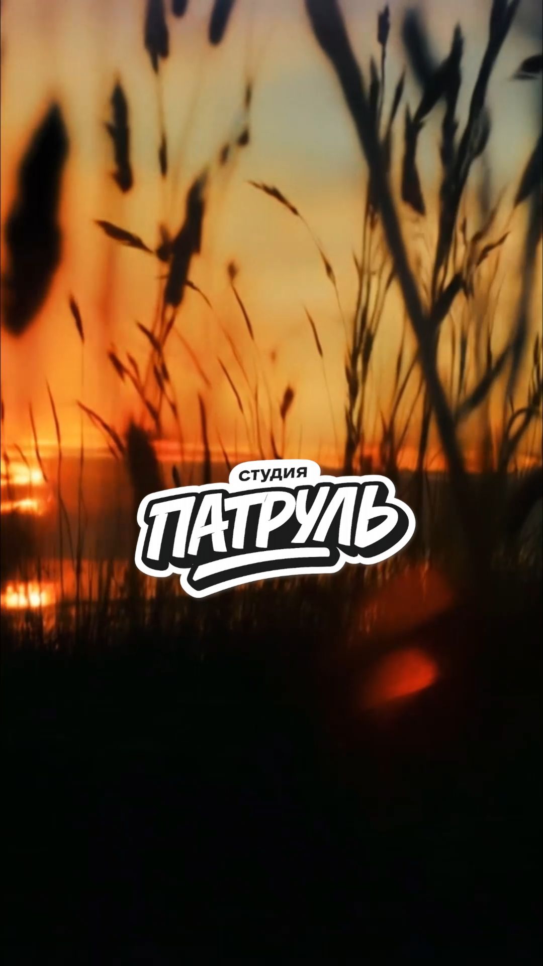 Она ехала сюда за чем-то важным...