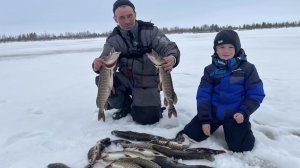 Закрываем зимний сезон на озере.щука на жерлицы,окунь на мормышку.