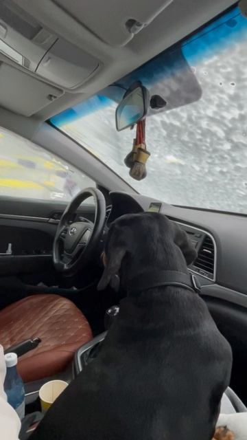 Мы на автомойке