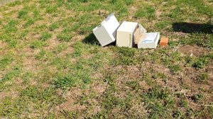 ЧП на пасеке. Шквалистый ветер опрокинул улей.