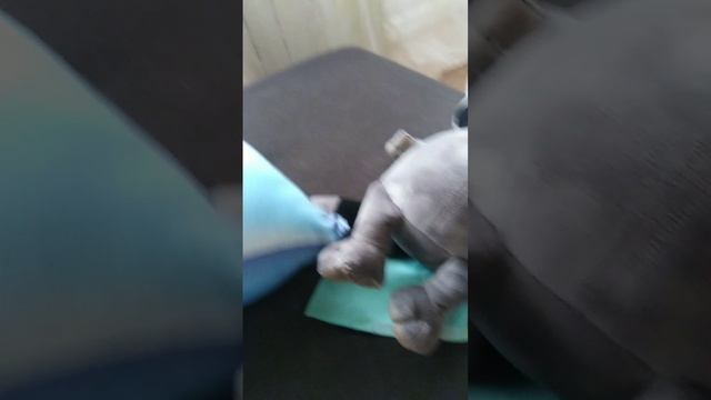 Что будет если не закрывать окно 🤔 смотреть онлайн