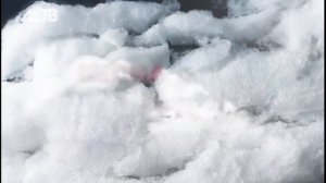 «Наш день»: 28 апреля 2026