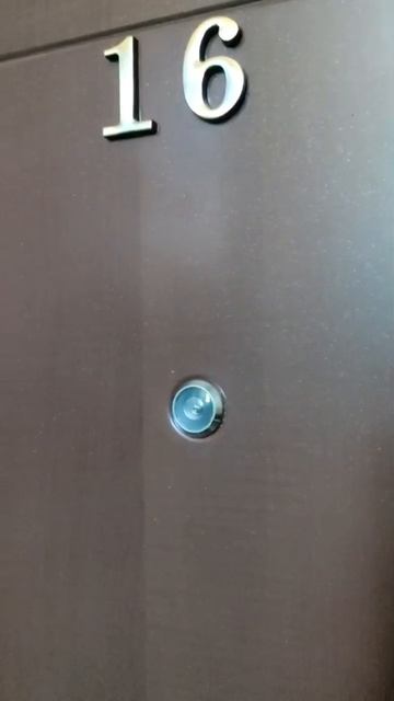 WhatsApp Video 2026-04-29 at 12.03.32 1