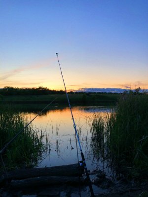 рыбачим РР4🔴