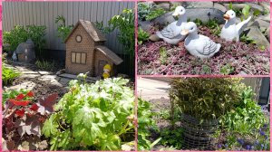 28.04. Наводим порядки. Высадила цветы. Сделала опору для цветов...