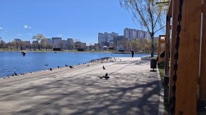 Тестирование камеры vivo V70