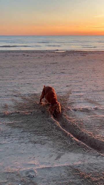 Свадебная студия. За кадром. Редкие моменты отдыха