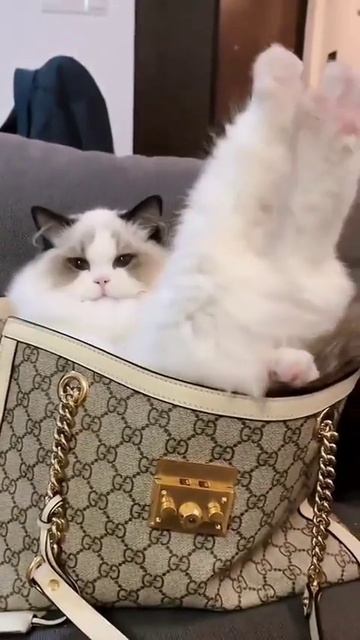 Для настроения, если кому-то грустно.