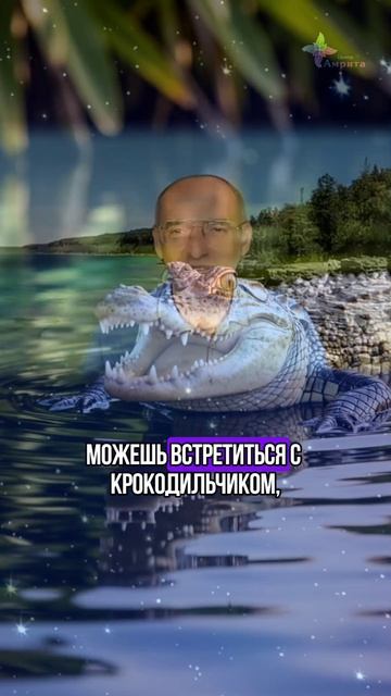 Почему райские страны не такие уж райские. Торсунов О. Г.