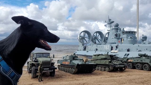 YouCut_20240620_234430409[1]