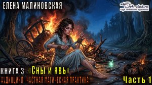 Елена Малиновская «Частная магическая практика» (книга 3) «Сны и явь» (часть 1)