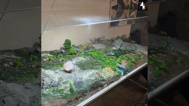 Память, живущая в именах