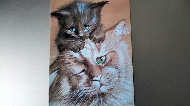 Семья грустных кошек. Кот и котенок.