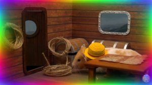 Приключения хомячка в игровом мире! 24