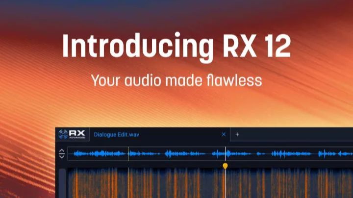 iZotope RX 12 Introducing